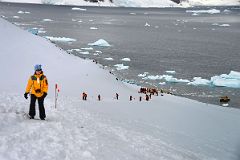 10A Tourists Climbing To The Top Of Danco Island On Quark Expeditions Antarctica Cruise